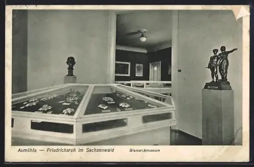 AK Friedrichsruh im Sachsenwald, Aumühle, Bismarckmuseum, Diverse Orden mit Brillanten reich verziert