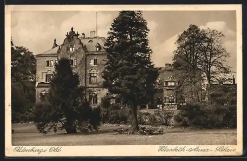 AK Oldenburg i. Old., Elisabeth-Anna-Palais