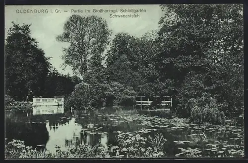 AK Oldenburg i. Gr., Grossherzogl. Schlossgarten, Schwanenteich