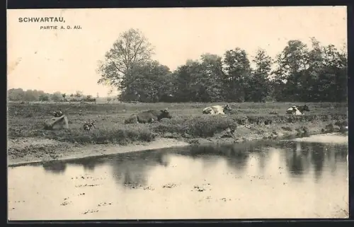 AK Schwartau, Partie a. d. Au, Kühe an der Au, Wiesen, Bäume