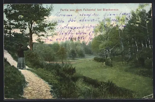 AK Hamburg-Blankenese, Partie aus dem Falkental