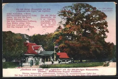 AK Uglei, Gasthaus zum Uglei am Uglei-See mit der 600 jährigen Rieseneiche
