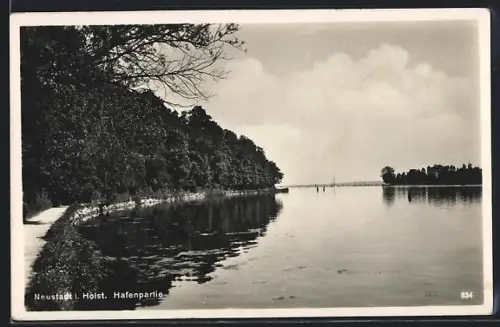 AK Neustadt / Holstein, Partie am Hafen