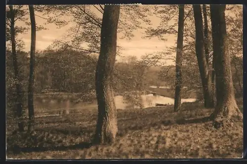 AK Reinbek, Partie an der Bille