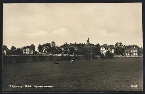 AK Lütjenburg i. Holst., Neverstorferstrasse