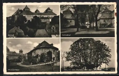 AK Augustusburg i. Erzg., Schloss, Schlosshof, Brunnenhaus, Alte Linde