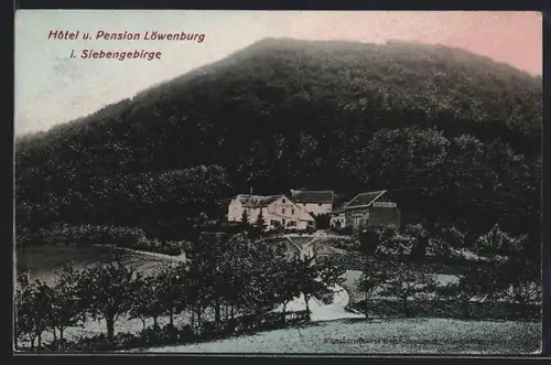 AK Löwenburg /Siebengebirge, Hôtel und Pension Löwenburg