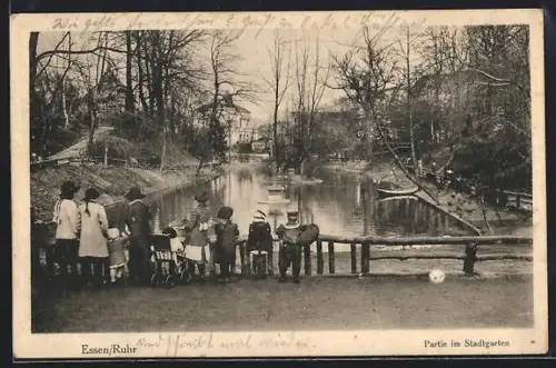 AK Essen /Ruhr, Partie im Stadtgarten
