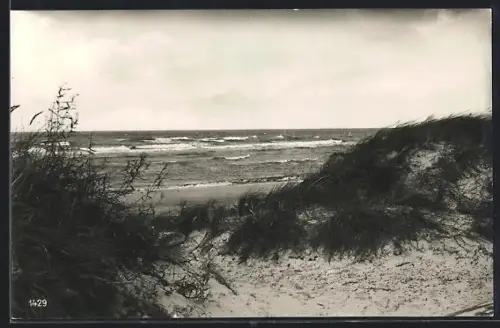 AK Prerow /Darss, Strand, Dünen, Ostsee