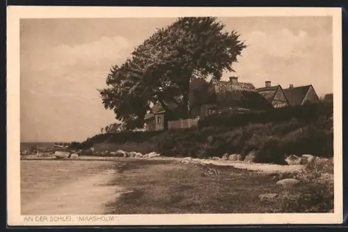 AK Maasholm, Uferansicht an der Schlei mit Häusern und Bäumen