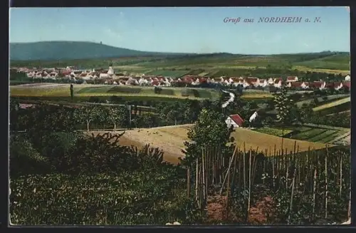 AK Nordheim a. N., Ortsansicht mit Weinbergen und Kirche