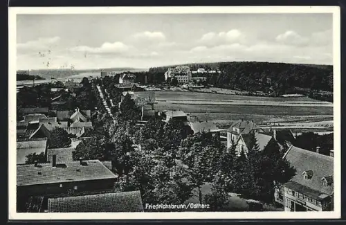 AK Friedrichsbrunn /Ostharz, Ortsansicht mit Feldern und Waldrand