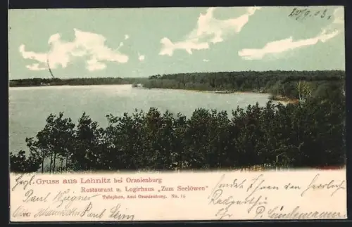 AK Lehnitz bei Oranienburg, Restaurant Logirhaus Zum Seelöwen, Seeansicht
