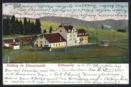 AK Feldberg im Schwarzwald, Feldbergerhof