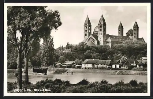 AK Speyer a. Rh., Blick auf Dom