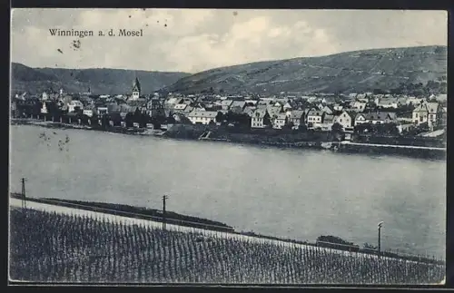 AK Winningen a. d. Mosel, Ortsansicht mit Mosel und Weinbergen