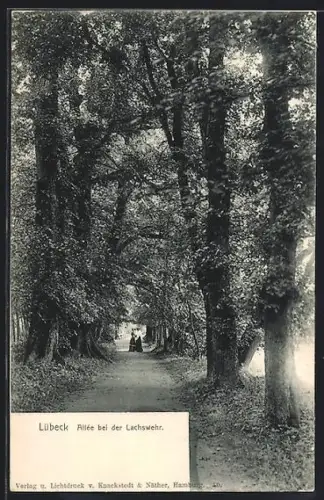 AK Lübeck, Allee bei der Lachswehr
