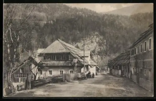 AK Kärnten, Deutsch-Peter, Dorfstrasse mit Häusern und Bergwald