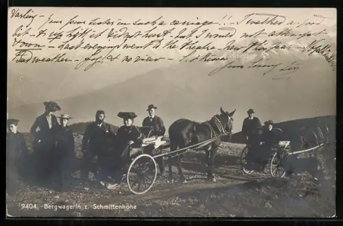 AK Schmittenhöhe, Bergwagerln mit Pferd und Kutsche
