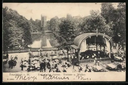 AK Frankfurt a. M., Zoologischer Garten, Cafe-Terrasse und Weiher