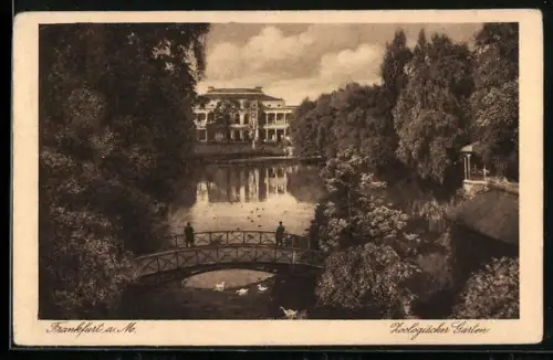 AK Frankfurt a. M., Zoologischer Garten, Brücke am Teich