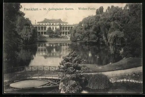 AK Frankfurt a. M., Zoologischer Garten, Weiher-Partie