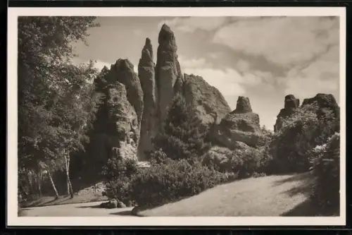 AK Stellingen-Hamburg, Carl Hagenbeck`s Tierpark, Hochgebirgs-Panorama