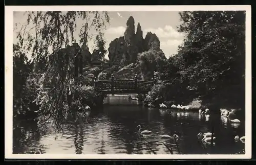 AK Hamburg-Stellingen, Carl Hagenbeck`s Tierpark: Japanische Insel