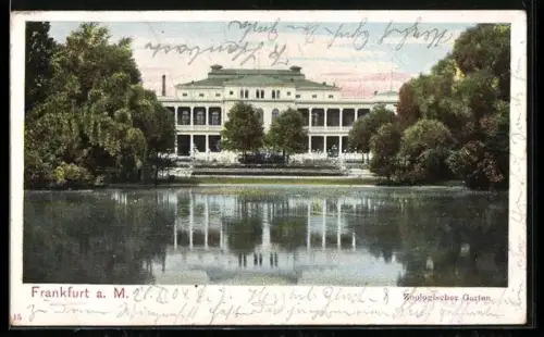 AK Frankfurt a. M., Zoologischer Garten, Teichpartie