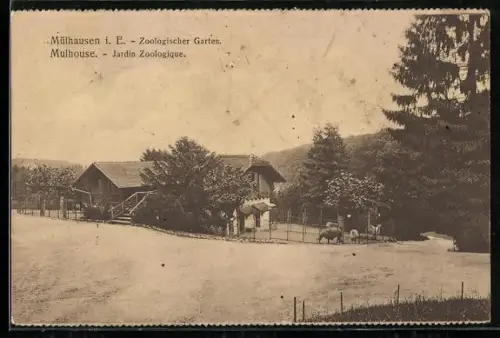 AK Mühlhausen i. E., Zoologischer Garten, Weg an einem Gehege