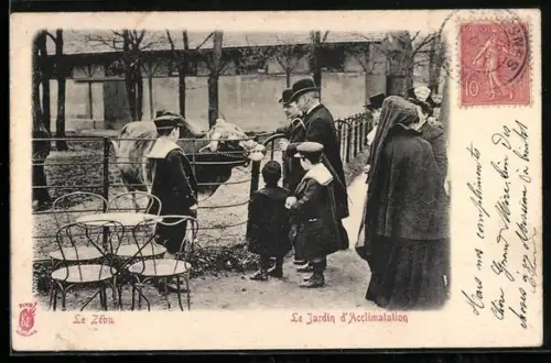 AK Paris, Le Jardin d`Acclimatation, Le Zébu
