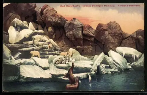 AK Stellingen-Hamburg, Carl Hagenbeck`s Tierpark, Nordland Panorama
