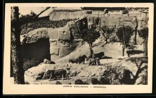 AK Mendoza, Jardin Zoologico