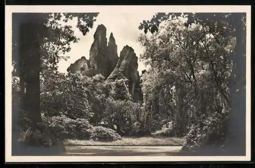 AK Altona Stellingen Hamburg, Carl Hagenbeck`s Tierpark, Seitenblick auf das Hochgebirge