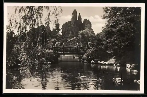 AK Hamburg-Stellingen, Carl Hagenbeck`s Tierpark: Japanische Insel