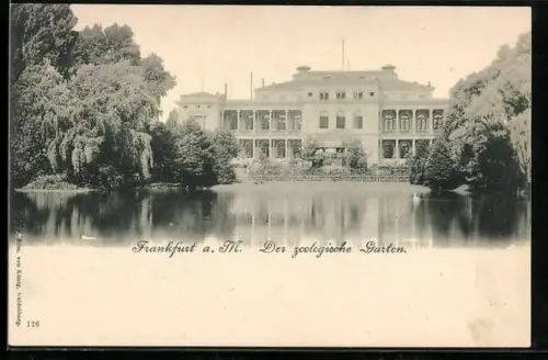 AK Frankfurt a. M., Zoologischer Garten, Teichpartie