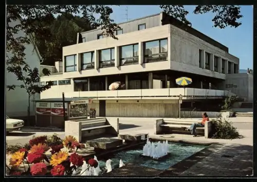 AK Hirschhorn am Neckar, Bürgerhaus Zum Naturalisten, Hotel-Restaurant