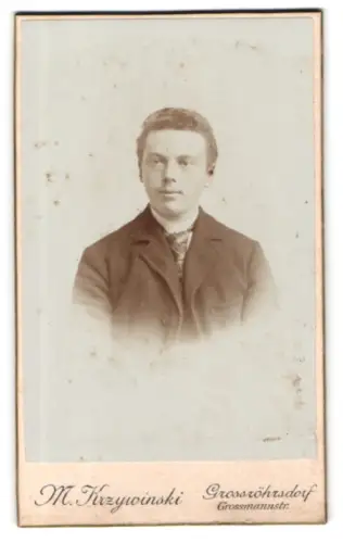 Fotografie M. Krzywinski, Grossröhrsdorf, Grossmannstr, Porträt eines jungen Mannes