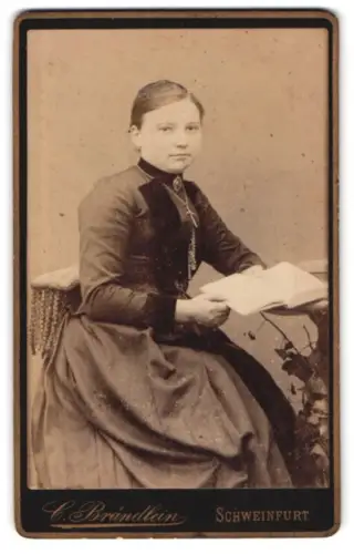 Fotografie C. Brändlein, Schweinfurt, Dame mit Buch in eleganter Pose