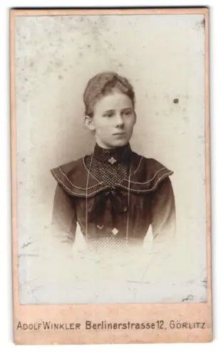 Fotografie Adolf Winkler, Görlitz, Berlinerstrasse 12, Junge Frau im viktorianischen Kleid