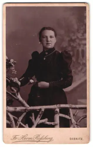 Fotografie Fr. Herm. Rossberg, Sebnitz, Böhmische Strasse 318, Porträt einer Frau mit Blume