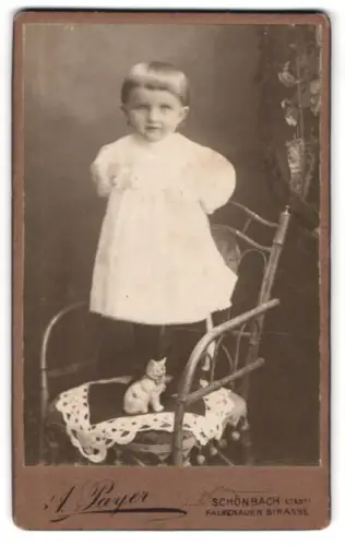 Fotografie A. Payer, Schönbach, Falkenauer Strasse, Kind auf Stuhl mit Spielzeugkatze