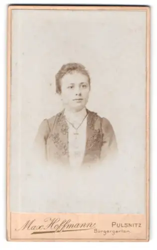 Fotografie Max Hoffmann, Pulsnitz, Bürgergarten, Porträt einer Frau mit elegant besticktem Kleid