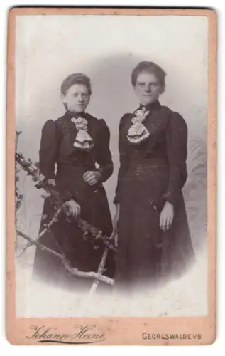 Fotografie Johann Heine, Georgswalde, Zwei Frauen in edler Kleidung