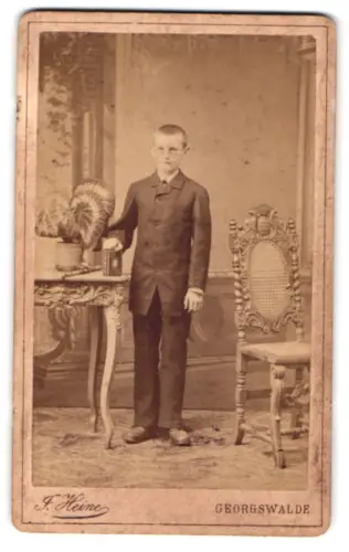 Fotografie J. Heine, Georgswalde, Porträt eines Jungen neben einem Tisch mit Pflanzen