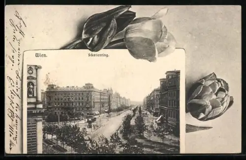 AK Wien, Schottenring, Tulpen, Passepartout