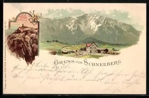 Lithographie Puchberg / Schneeberg, Panorama Berghütte und Berglandschaft