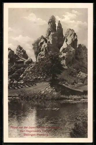 AK Hamburg-Stellingen, Felsen in Carl Hagenbeck`s Tierpark