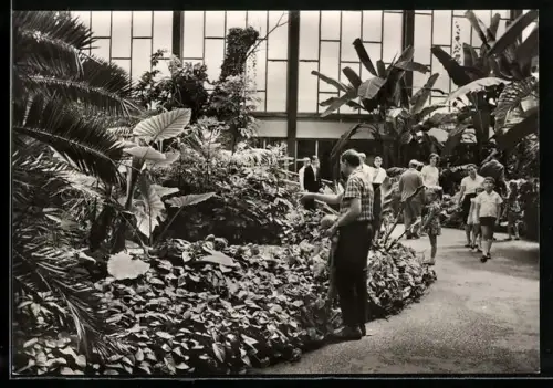 AK Berlin, Tropenhalle im Alfred-Brehm-Hauses im Tierpark