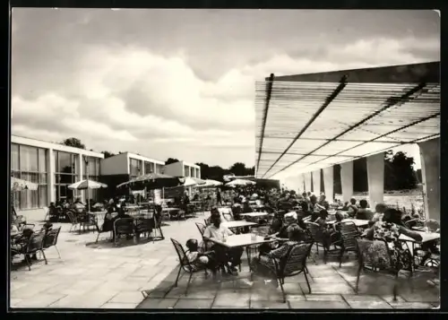 AK Berlin, Sommergarten der Cafeteria im Tierpark